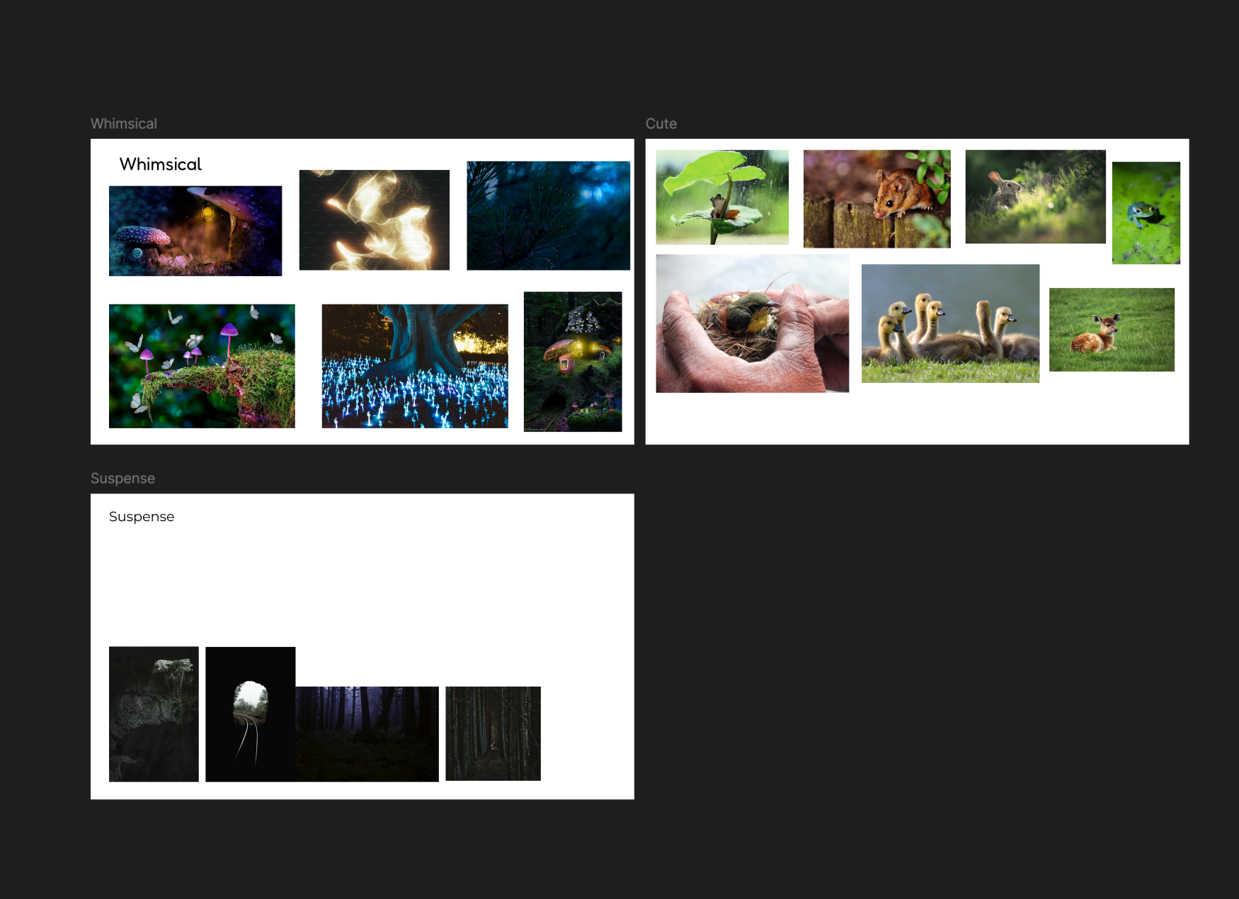 Fireflies design process screenshot 1